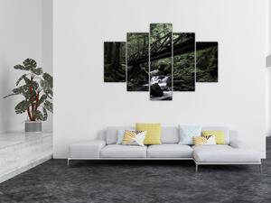 Obraz z čierneho lesa (150x105 cm)