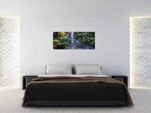 Obraz australského dažďového lesa (120x50 cm)