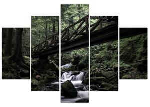 Obraz z čierneho lesa (150x105 cm)