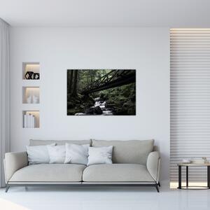Obraz z čierneho lesa (90x60 cm)
