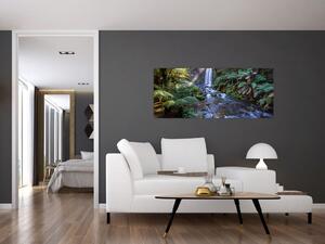 Obraz australského dažďového lesa (120x50 cm)