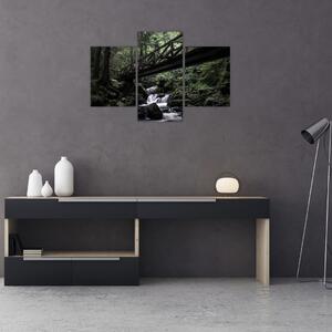 Obraz z čierneho lesa (90x60 cm)