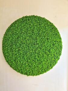 Machový obraz kruh v tenkom bielom ráme, Priemer machového obrazu ∅ 30cm