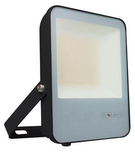 LED Reflektor LED/30W/230V 6400K IP65 čierna