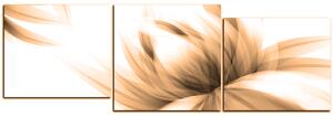 Obraz na plátne - Elegantný kvet - panoráma 5147FD (150x50 cm)