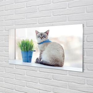 Nástenný panel  sediaci mačka 100x50 cm