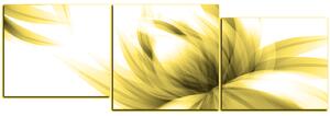 Obraz na plátne - Elegantný kvet - panoráma 5147ZD (150x50 cm)