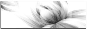 Obraz na plátne - Elegantný kvet - panoráma 5147QA (105x35 cm)