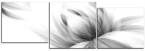 Obraz na plátne - Elegantný kvet - panoráma 5147QD (90x30 cm)