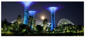Obraz splnu v Singapurských záhradách (120x50 cm)