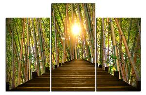 Obraz na plátne - Drevená promenáda v bambusovom lese 1172D (90x60 cm)