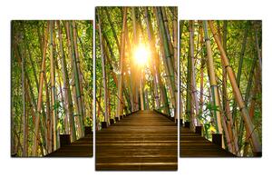 Obraz na plátne - Drevená promenáda v bambusovom lese 1172C (90x60 cm)
