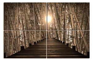Obraz na plátne - Drevená promenáda v bambusovom lese 1172FE (120x80 cm)