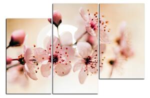 Obraz na plátne - Malé kvety na vetve 1173D (150x100 cm)