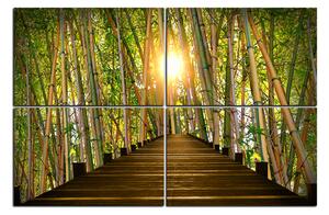 Obraz na plátne - Drevená promenáda v bambusovom lese 1172E (150x100 cm)