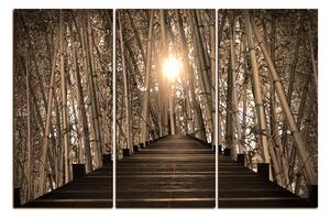 Obraz na plátne - Drevená promenáda v bambusovom lese 1172FB (90x60 cm )
