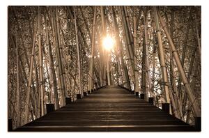 Obraz na plátne - Drevená promenáda v bambusovom lese 1172FA (60x40 cm)
