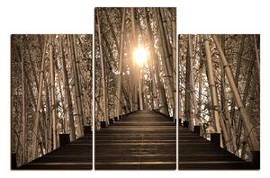 Obraz na plátne - Drevená promenáda v bambusovom lese 1172FD (90x60 cm)