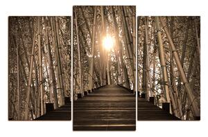 Obraz na plátne - Drevená promenáda v bambusovom lese 1172FC (150x100 cm)