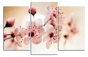 Obraz na plátne - Malé kvety na vetve 1173C (120x80 cm)