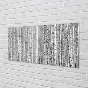 Nástenný panel  Čierna a biela strom les 100x50 cm
