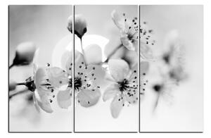 Obraz na plátne - Malé kvety na vetve 1173QB (150x100 cm)
