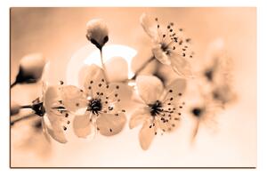 Obraz na plátne - Malé kvety na vetve 1173FA (100x70 cm)