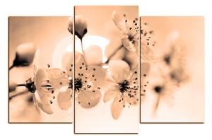 Obraz na plátne - Malé kvety na vetve 1173FC (90x60 cm)