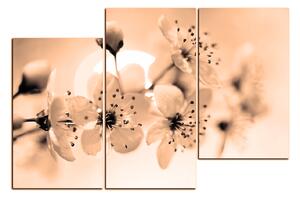 Obraz na plátne - Malé kvety na vetve 1173FD (150x100 cm)