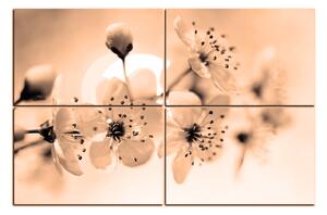 Obraz na plátne - Malé kvety na vetve 1173FE (150x100 cm)