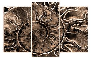 Obraz na plátne - Textúra fosílie 1174FC (90x60 cm)