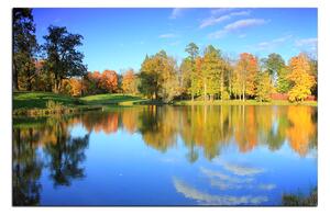 Obraz na plátne - Jesenný park 1175A (90x60 cm )