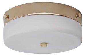Elstead TAMAR-F-M-PG-LED Kúpeľňové stropné svietidlo TAMAR 1xGX53/5,7W/230V IP44