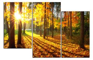 Obraz na plátne - Jesenný les 1176D (150x100 cm)