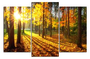 Obraz na plátne - Jesenný les 1176C (90x60 cm)