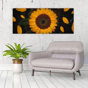 Obraz - Slnečnice a lístky kvetov (120x50 cm)