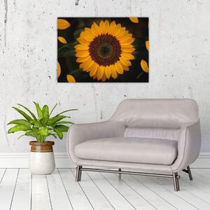Obraz - Slnečnice a lístky kvetov (70x50 cm)