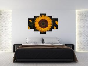 Obraz - Slnečnice a lístky kvetov (150x105 cm)