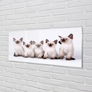 Sklenený obraz malé mačky 120x60 cm 4 Prívesky