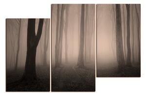 Obraz na plátne - Hmla v lese 1182FD (150x100 cm)