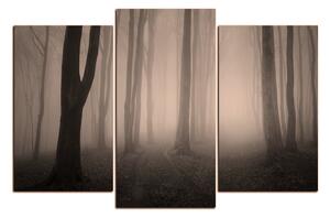 Obraz na plátne - Hmla v lese 1182FC (90x60 cm)