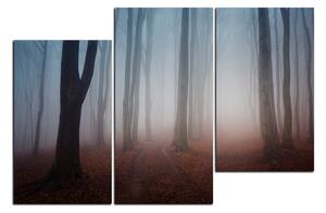 Obraz na plátne - Hmla v lese 1182D (150x100 cm)