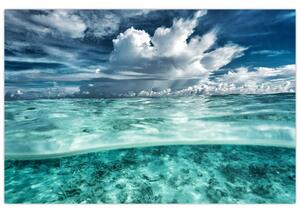 Obraz - Pohľad pod morskú hladinu (90x60 cm)