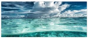 Obraz - Pohľad pod morskú hladinu (120x50 cm)