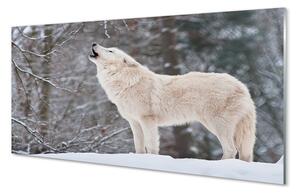 Obraz na akrylátovom skle Vlk v zime lese 120x60 cm 2 Prívesky