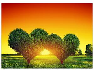 Obraz - Srdce v korunách stromov (70x50 cm)