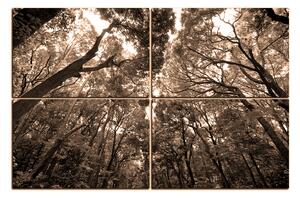 Obraz na plátne - Zelené stromy v lese 1194FE (150x100 cm)