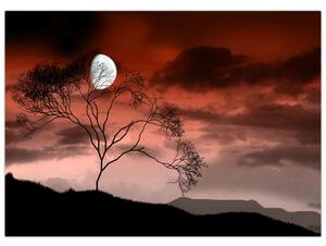 Obraz - Mesiac osvetľujúce noc (70x50 cm)