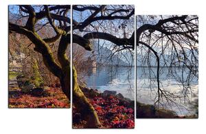Obraz na plátne - Jeseň pri jazere 1198D (120x80 cm)