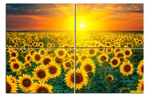 Obraz na plátne - Slnečnicové pole pri západe slnka 1199E (90x60 cm)